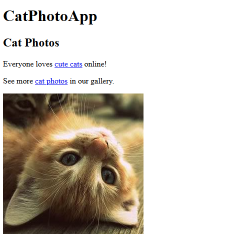 Cat Photo App